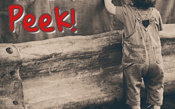 Stampin’ Up! Sneak Peek