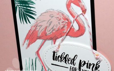 Flamingo Congratulations Card
