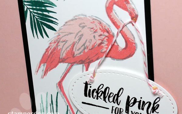 Flamingo Congratulations Card
