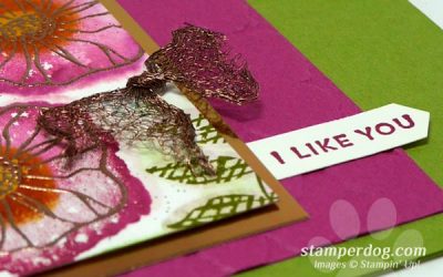Watercolor Workover