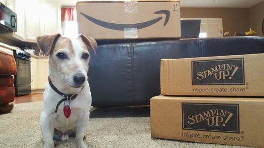 Dog Shipping UPS