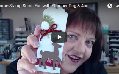 What We Made on You Tube and Facebook Live