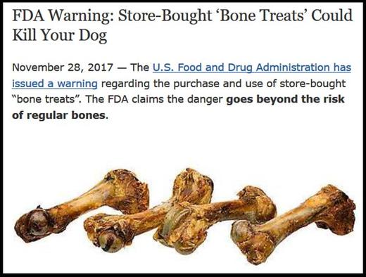 Bad Dog Bones