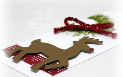 Will You Ask Santa for an Early Delivery?