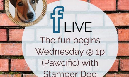 Yes, We’re Going Live Again Today!