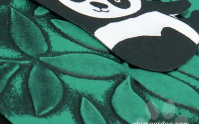 We Are Loving Those Pandas!