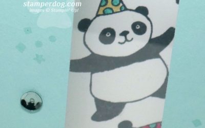 Peekaboo! It’s Another Panda Birthday Card