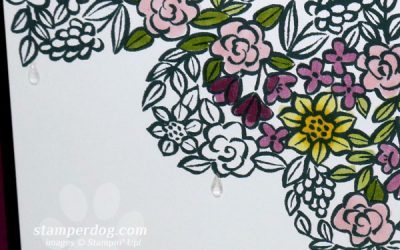 We Traded a Peacock for Watercolor Hearts