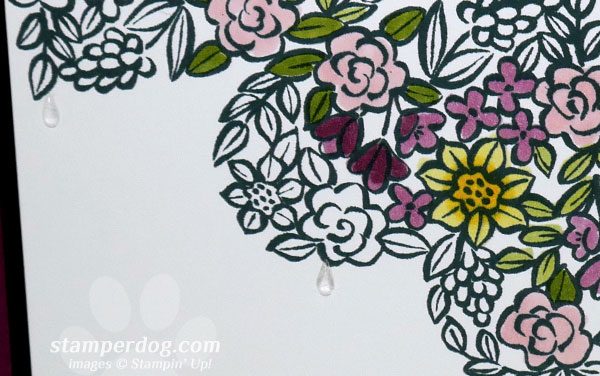 We Traded a Peacock for Watercolor Hearts