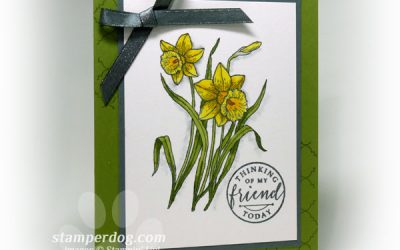 Love Our Watercolor Daffodils!