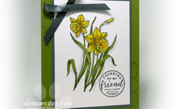 Love Our Watercolor Daffodils!