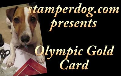 Are You Watching the Winter Olympics?