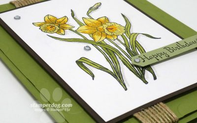 A Daffodil for Her Birthday