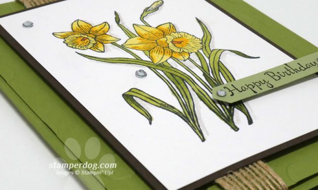 A Daffodil for Her Birthday