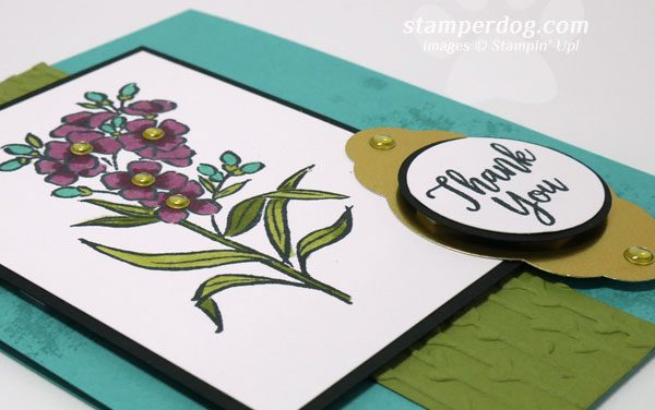 I Love This Stamp Set!