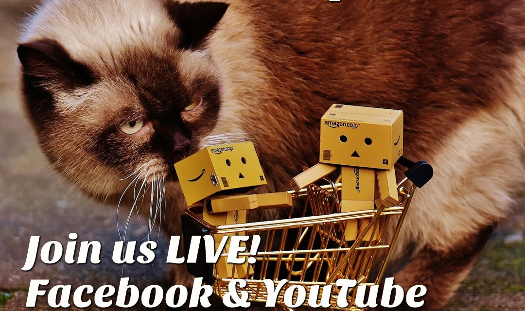 It’s the First Friday!  time for the Sale!