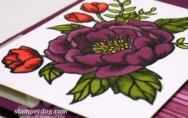 Stampin’ Blends are Back!
