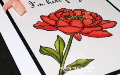 Everyone Needs a Flower Card & a Sale!