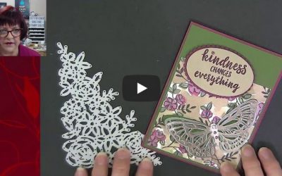 Another Butterfly Thank You Card