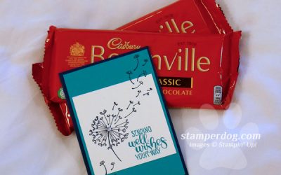It’s Nice to Be a Stampin’ Up! Demonstrator