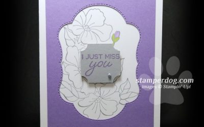 Card Swap!