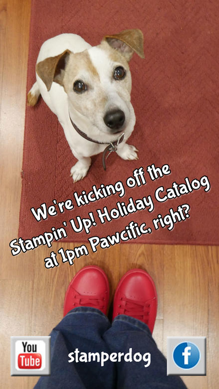 Live Stream Wednesday Workshop