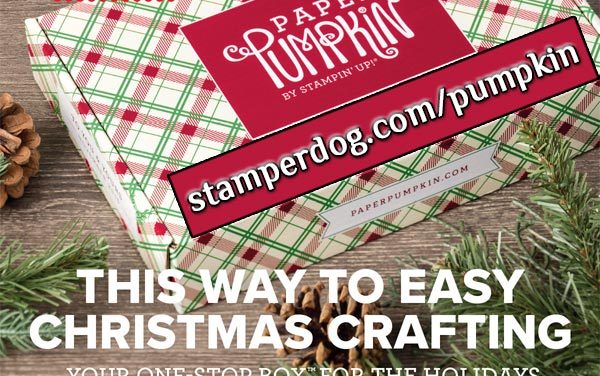 Christmas Craft Kit Surprise