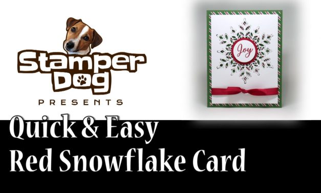 Last Day for Snowflakes and Video