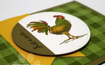 A Little Rooster to Crow
