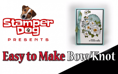 How to Make a Bow Video