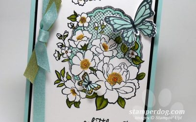The Butterflies Duet Punch is Back!