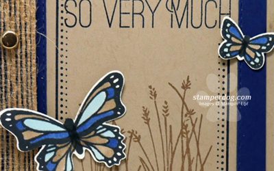 Butterfly Thank You