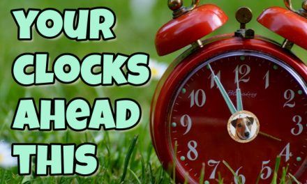 Spring Ahead Tonight!