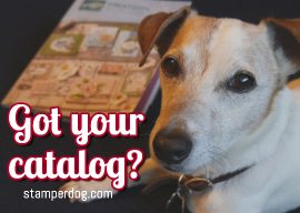 Get a 2019-20 Stampin’ Up! Catalog