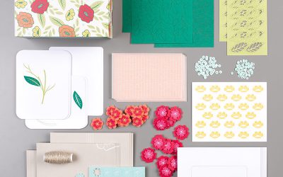 Check Out the Felt Cards Kit!