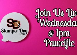 Stampin’ Up! Live Stream Wednesday!