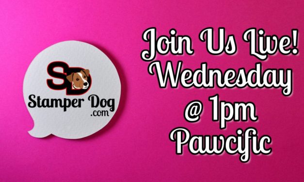 Stampin’ Up! Live Stream Wednesday!
