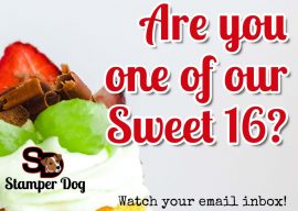 Are You One of Our Sweet 16?