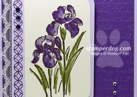 A Brighter Sympathy Card Idea