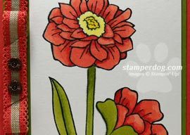 Simple Notecard in Coordinating Colors