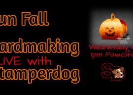 We’re Going Wild for Fall Today!