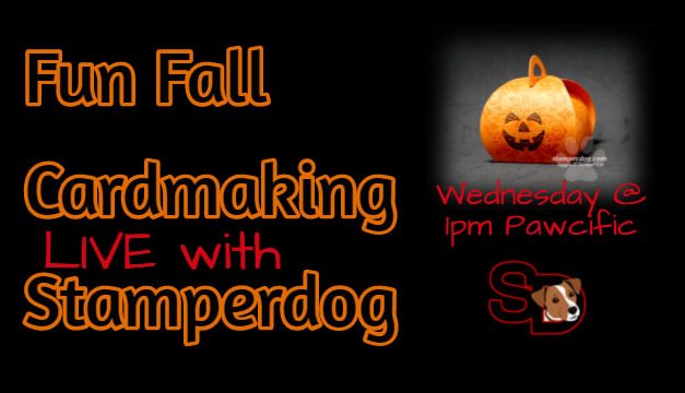 We’re Going Wild for Fall Today!