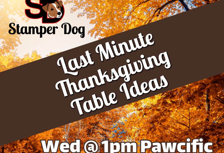 Live Streaming and Free Shipping