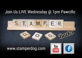 We’re Going Live at 1pm