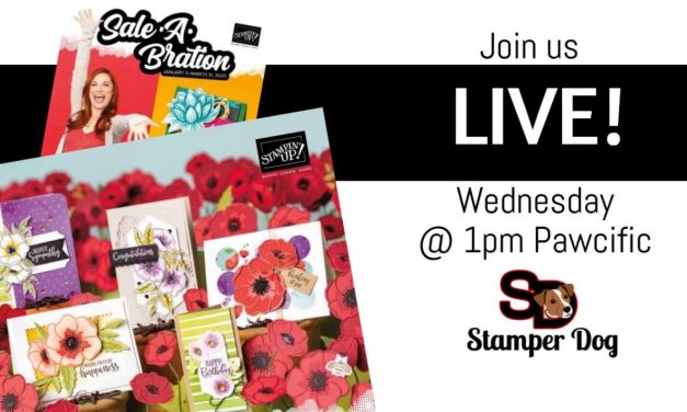 Going Live Today @ 1pm Pawcific!