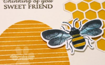 Sweet Honey Bee Card for a Friend