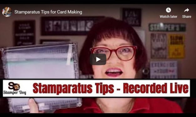 How to Use the Stamparatus