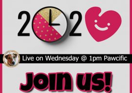 Valentine Season Live at 1pm Pawcific