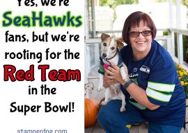 It’s Super Bowl Sunday!