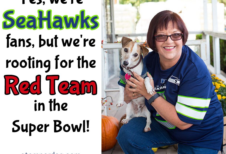 It’s Super Bowl Sunday!